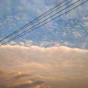 大学生操逼免费视频
