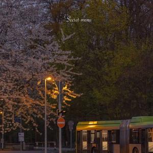 大学生操逼免费视频
